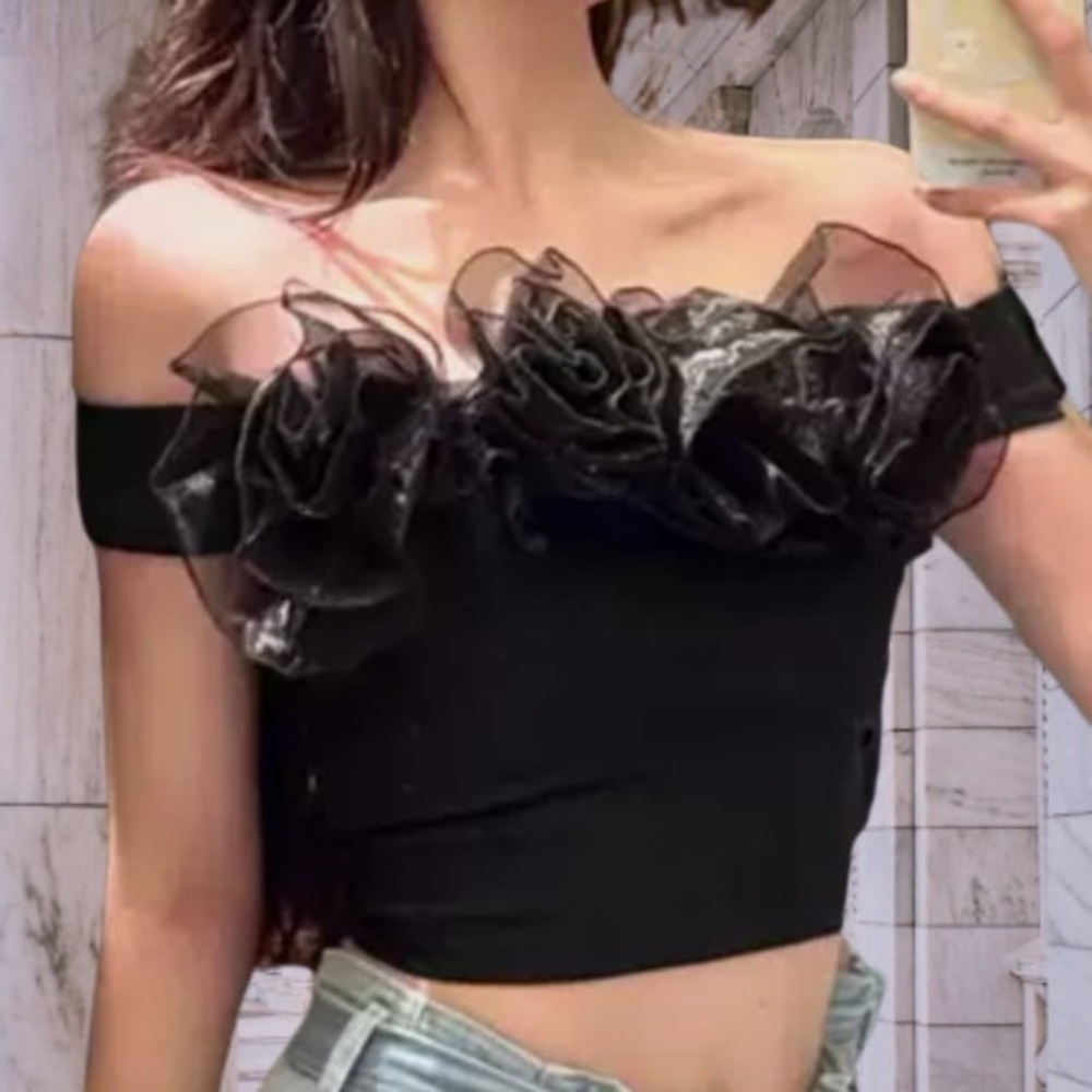 Zara Black Floral Organza Crop Top